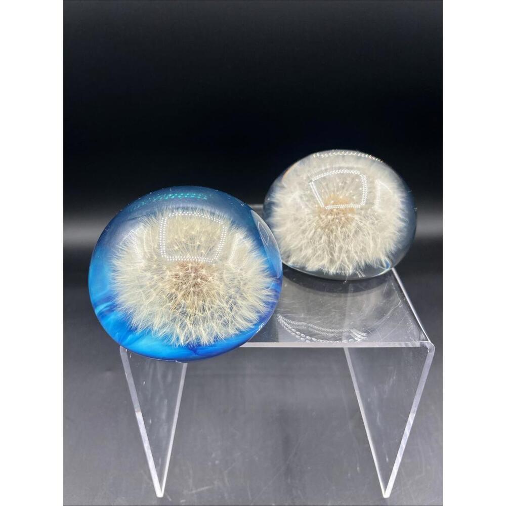 Vintage Dandelion Paperweights Lucite Acrylic, Canada Orbs, Set of 2